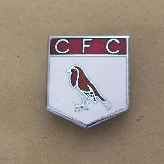 Rare Old Clanfield Fc Badge