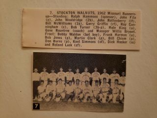Stockton Walnuts Missouri 1962 Baseball Team Picture Rare