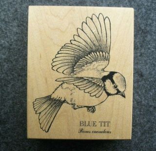 Psx Blue Tit Bird K2148 Rare Rubber Stamp Stampinsisters 1812