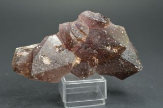 Auralite 23 " Deep Trace " Black Tip Crystal Cluster Rare Unique Gem A,  Canada