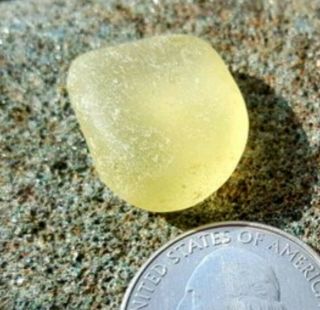 Sea Glass - Rare Lemon Yellow,  Jewelry Grade Collecter 