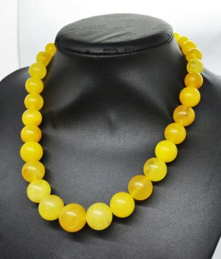 56.  69gr Rare Baltic Amber Necklace Egg Yolk Graduated Natural Beads 5