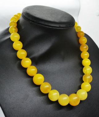 56.  69gr Rare Baltic Amber Necklace Egg Yolk Graduated Natural Beads 6