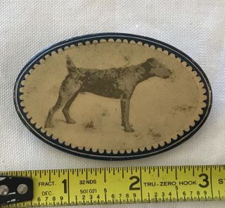 Rare Antique Photo Airedale Terrier Dog Pin Back Button
