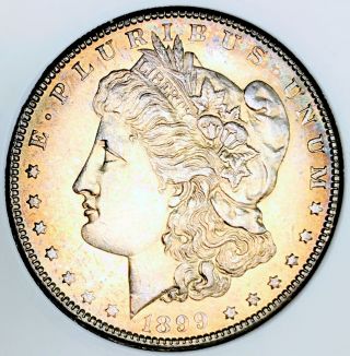 1899 O Morgan Dollar Gem Bu,  Stunning Gold Toned Rare Semi Proof Like Nr 08438