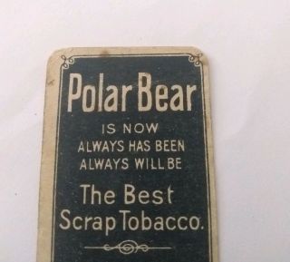 1909 - 1911 T206 Rare Polar Bear Back Johnny Evers Chicago On Shirt 5