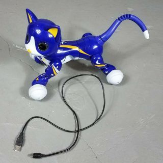 Zoomer Kitty Rare Midnight Blue Interactive Cat Spin Master W Cord