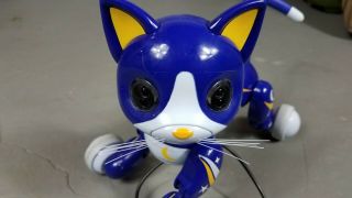 Zoomer Kitty RARE Midnight Blue Interactive Cat Spin Master w cord 2