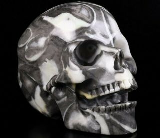 Huge 5.  2 " Rare Fossil Carved Crystal Singing Skull,  Crystal Healing