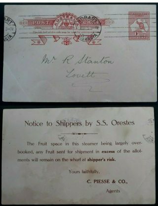 Rare 1915 Australia 1d Red Preprinted Kangaroo Postcard Ss Orestes Wnotification