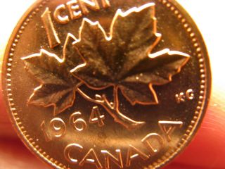 Canada 1964 Extra Spine Penny Small Cent Rare Variety Gem Bu Coin Id B1091.