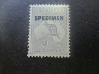 Kangaroo Stamps: £1 Grey C Of A Watermark - Rare (f237)
