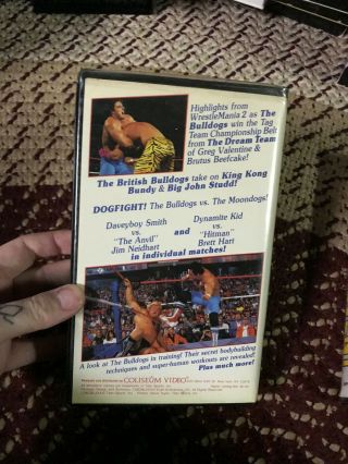 THE BRITISH BULLDOGS TNA EWC NWA WWE WWF WCW RARE OOP VHS BIG BOX SLIP 2