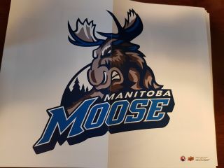Manitoba Moose 2017 - 18 Ud Ahl 10 X 8 Team Mini Poster Rare Box Topper