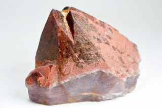 Auralite 23 " Moca Sensation " Chocolate Tip Crystal Point Rare Unique A,  Canada