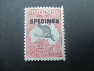 Kangaroo Stamps: £2 Specimen C Of A Watermark - Rare (f319)