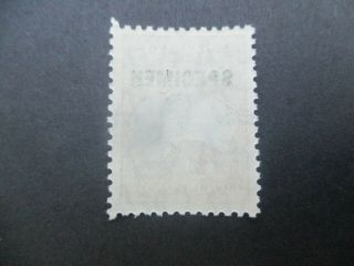 Kangaroo Stamps: £2 Specimen C of A Watermark - Rare (f319) 2