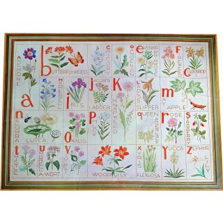 Wildflower Alphabet Sampler Rare Embroidery Kit Paragon 0955 Linen Fabric