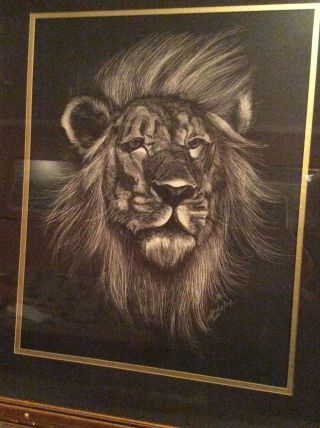 Rare Art Lamay Signed Reversed Etching King Of The Jungle Lion Head