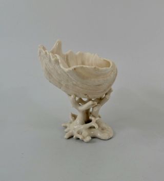 Ulster Pottery Company porcelain shell,  c.  1900.  Very rare item.  Belleek. 6