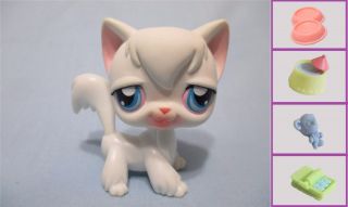 Littlest Pet Shop Cat Angora Rare 9 And Accessory Authentic Lps