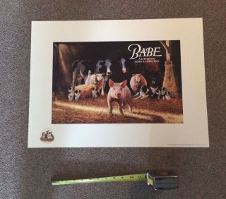 Rare Huge Babe Movie Limited Edition Promo Lithograph Print In Large Sleeve