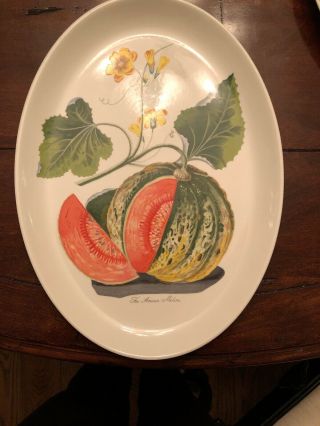 Portmeirion Pomona Oval Baking Dish Rare Amicua Melon Pattern 15 " L X 11 " W