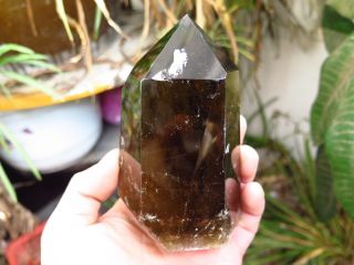 A,  Rare Natural Smoky Quartz Crystal Point Healing 578g Jj14