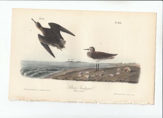 Rare 1st Ed Audubon Birds Of America 8vo Print 1840: Schinz 