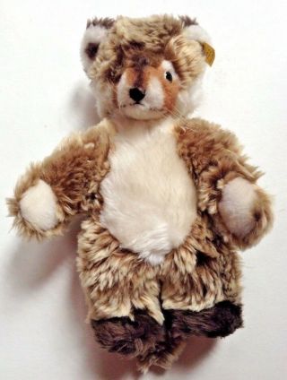 Rare Vintage Steiff Raccy Raccoon Teddy Bear Austria Tag In Ear R6205/30