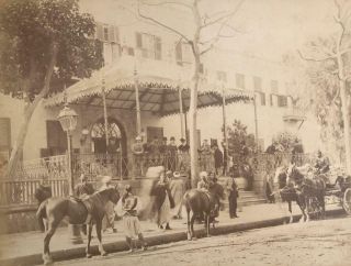Rare 1880s Albumen Photograph Shepheard Hotel Cairo Egypt