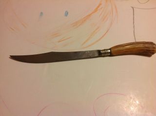 Rare Vintage Cattaraugus Cutlery Little Valley Hunting Kitchen Knife With Stag H
