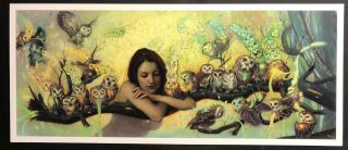 Rodrigo Luff “storm” Fine Art Print 9/50 2013 Very Rare Giclee Gorgeous