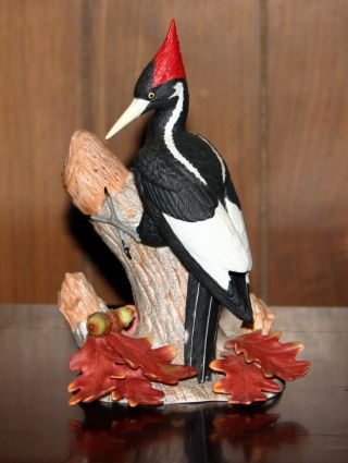 Ivory - Billed Woodpecker Lenox Garden Bird Rare