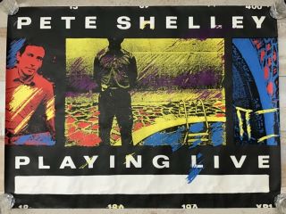 Buzzcocks - Pete Shelley - Playing Live Rare Official Poster 40”x 30” 1m X 75cm