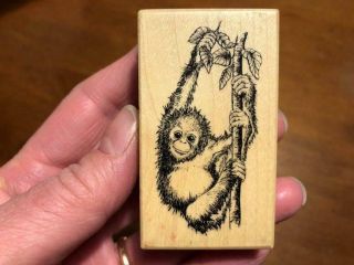 Rare Rubber Stamp 1999 Psx E - 1160 Cute Baby Orangutan Monkey Gorilla Primate