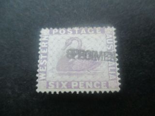 Western Australia Stamps: 6d Purple Overprint Specimen - Rare (f351)