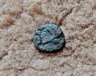 Extremely Rare Late Roman Follis Roman Emperor Severus Libius 9mm/1,  0gr.