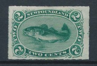 [37045] Newfoundland 1876/79 Fish Good Rare Stamp Very Fine Mh Value $230