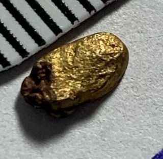 Gold Nugget From Mine In Colorado Unique With Mattix Rare Find