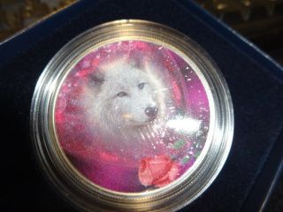 2019 Silver Eagle Colorized Pop 1 Of 10 White Wolf And Rare 1 Of 10