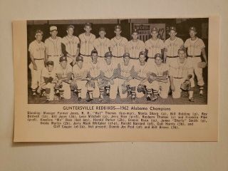 Guntersville Redbirds Alabama 1962 Baseball Team Picture Rare