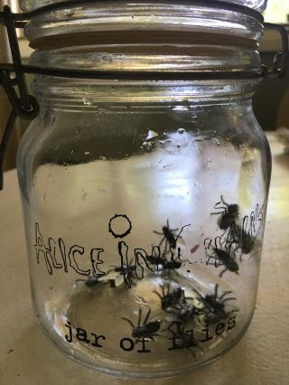 Alice In Chains Promotional Jar Of Flies Rare Promo Item