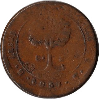 1857 Honduras 8 Reales Large Coin Km 21a Rare