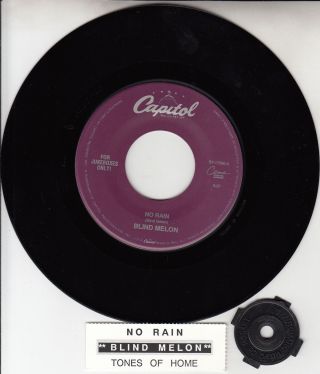 Blind Melon No Rain - 1992 Hit 7 " 45 Vinyl Record,  Juke Box Title Strip Rare