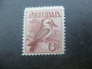 Pre Decimal Stamps: 6d Kookaburra Mnh - - Rare (c21)