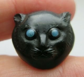 Remarkable Rare Antique Carved Gutta Percha Stud Button Black Cat Glass Eyes (j)