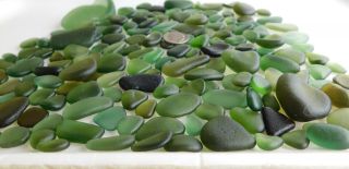 BEACH SEA GLASS OLIVE GREEN SURF TUMBLED HARD TO FIND RARE 2
