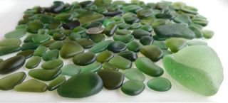 BEACH SEA GLASS OLIVE GREEN SURF TUMBLED HARD TO FIND RARE 4