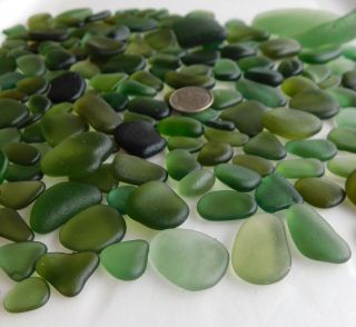 BEACH SEA GLASS OLIVE GREEN SURF TUMBLED HARD TO FIND RARE 5